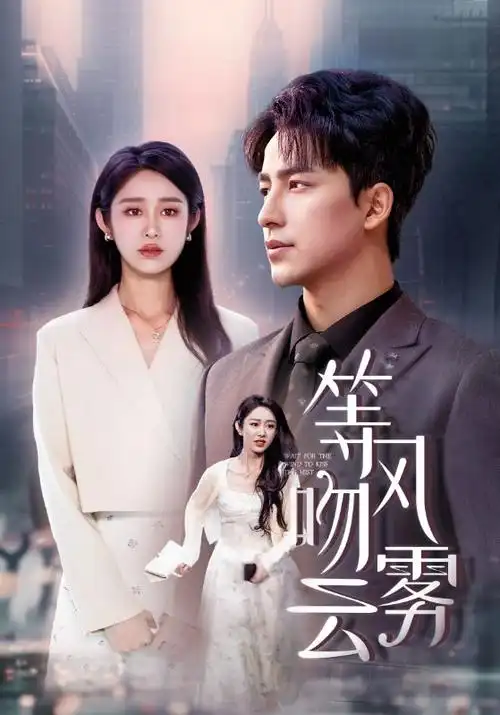 电视剧封面·破晓行动